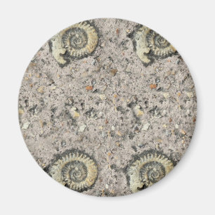 fossil background magnet