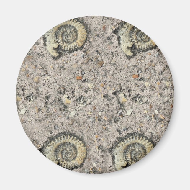 fossil background magnet (Front)