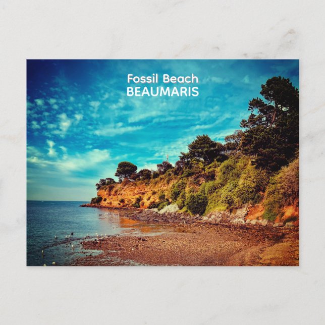 Fossil Beach, Beaumaris Postcard (Front)
