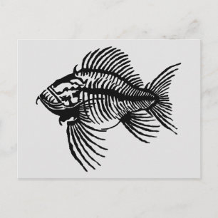 Fossil Fish Postcard
