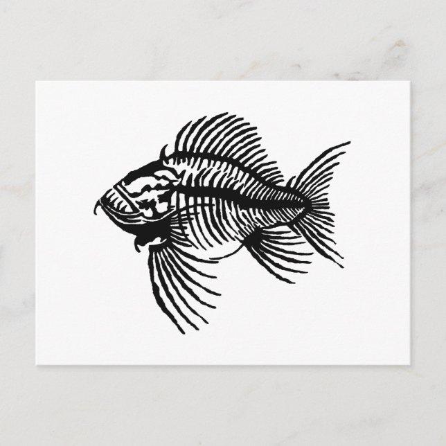 Fossil Fish Postcard (Front)