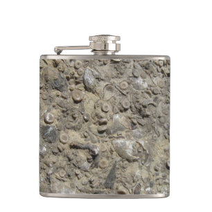 Fossil Hash Limestone Geology Hip Flask
