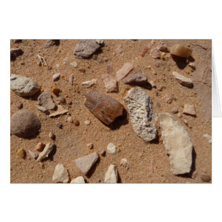 Fossil in the dessert