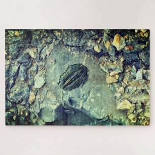 Fossil Jigsaw Puzzle