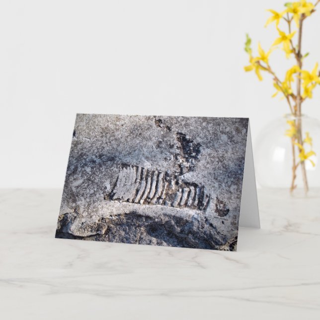 Fossil Nautiloid Cephalopod Ancient Sea Mollusc Card (Yellow Flower)