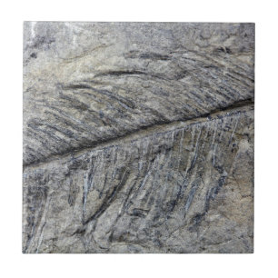Fossil Plant Tile