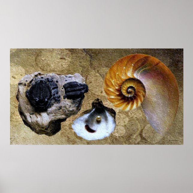 Fossil Poster (Front)