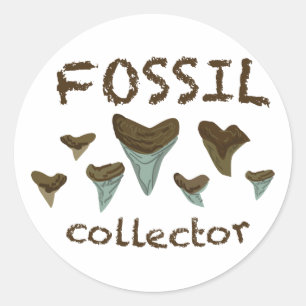 Fossil Shark Teeth Classic Round Sticker