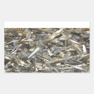 Fossil shark teeth pattern sticker