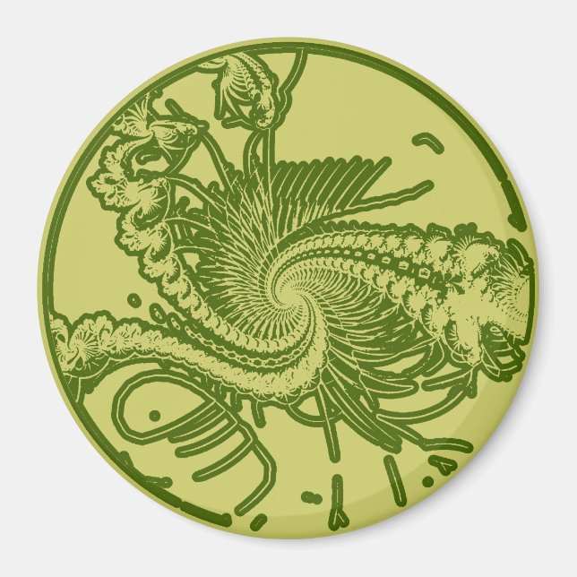 Fossil ver. 4 magnet (Front)