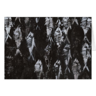 Fossil White Fish on Black Background