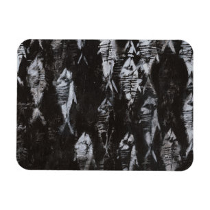 Fossil White Fish on Black Background Magnet
