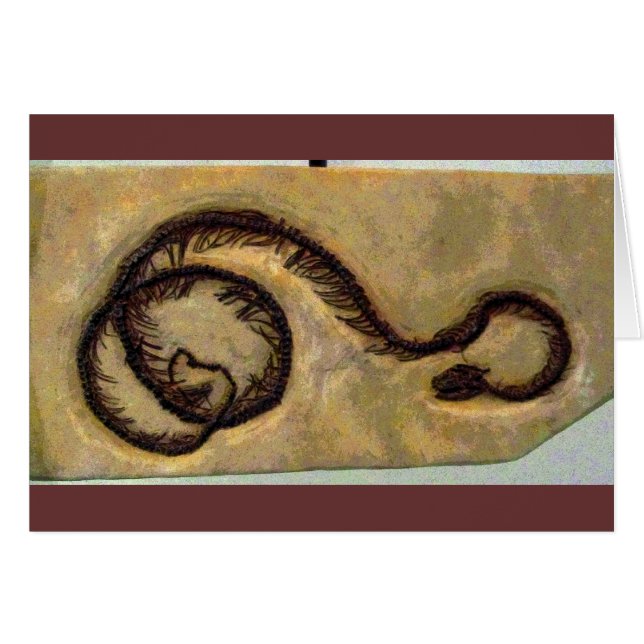 Fossile de serpent CB (Devant horizontal)