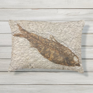 Fossile extérieur de poissons de coussin