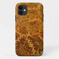 Fossilized coral natural jasper gemstone