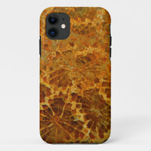 Fossilized coral natural jasper gemstone iPhone 11 case