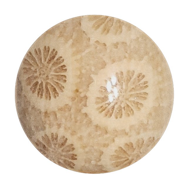 Fossilized Coral Print Cutting Board (Front)