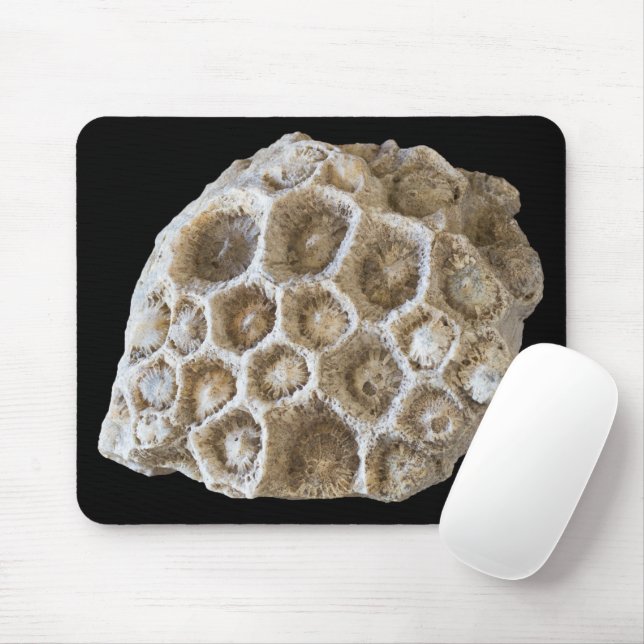 Fossilized Coral Rock Nature Photography Mouse Pad (With Mouse)
