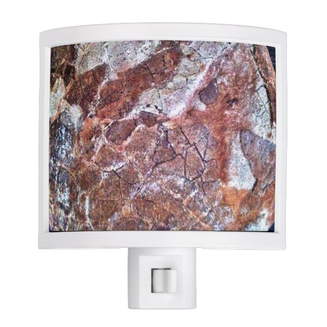 Fossilized Dinosaur Egg Night Light (Front)