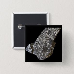 Fossilized Fern Leaf Leaves Nature Photography 2 Inch Square Button