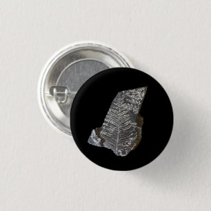 Fossilized Fern Leaves Rock Nature Photography 1 Inch Round Button