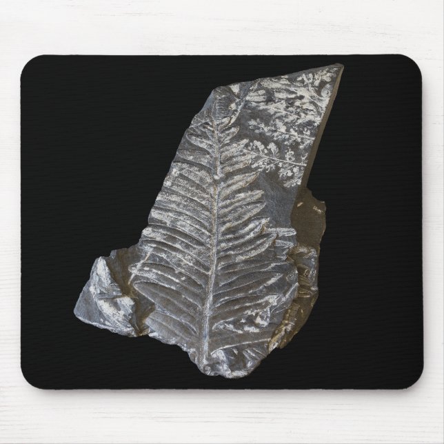 Fossilized Fern Leaves Rocks Nature Photography Mouse Pad (Front)