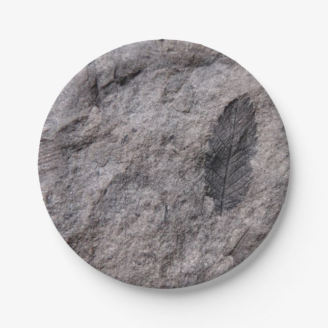 Fossilized Plant 350 Million Yr. Old Photo Print Paper Plate (Front)