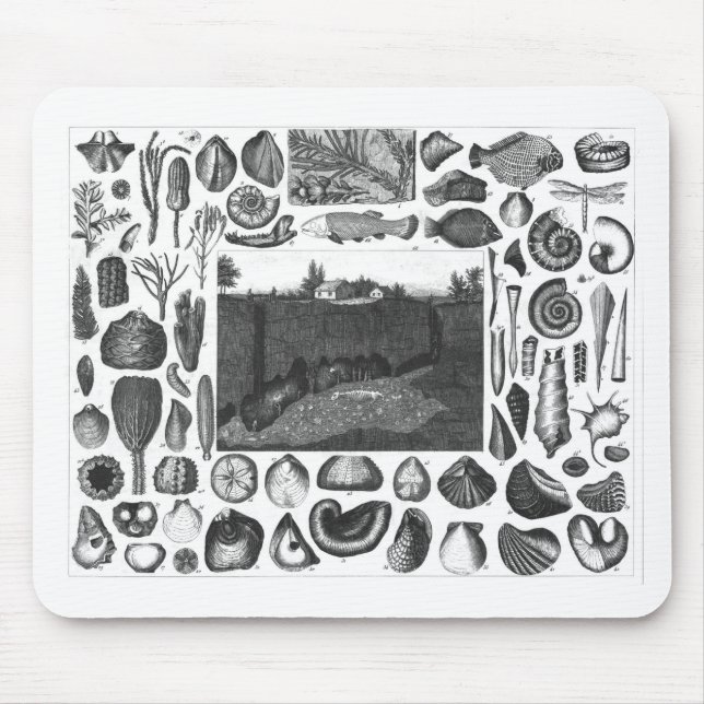 FOSSILS MOUSE PAD (Front)