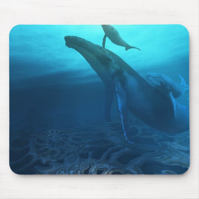 FOSSILS  MOUSEPAD (Front)