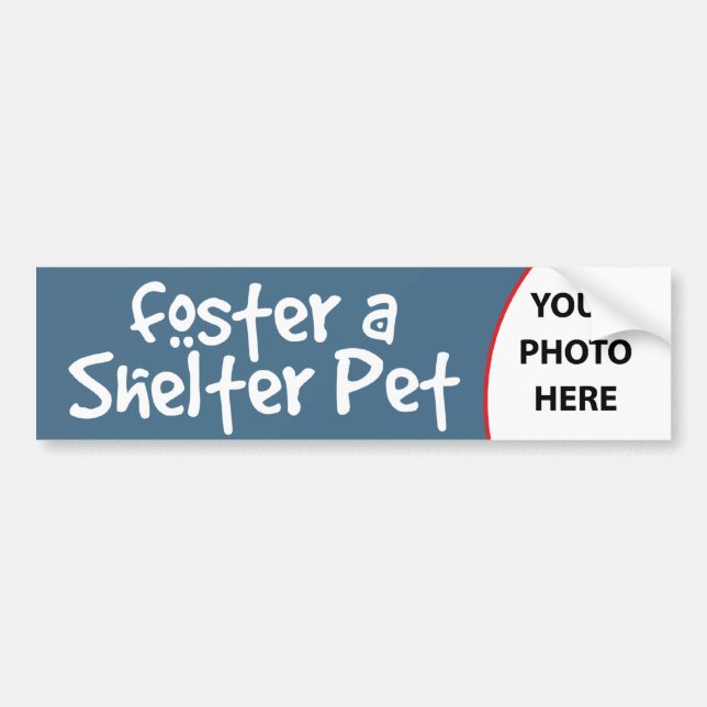 Foster a Shelter Pet Customizable Bumper Sticker (Front)