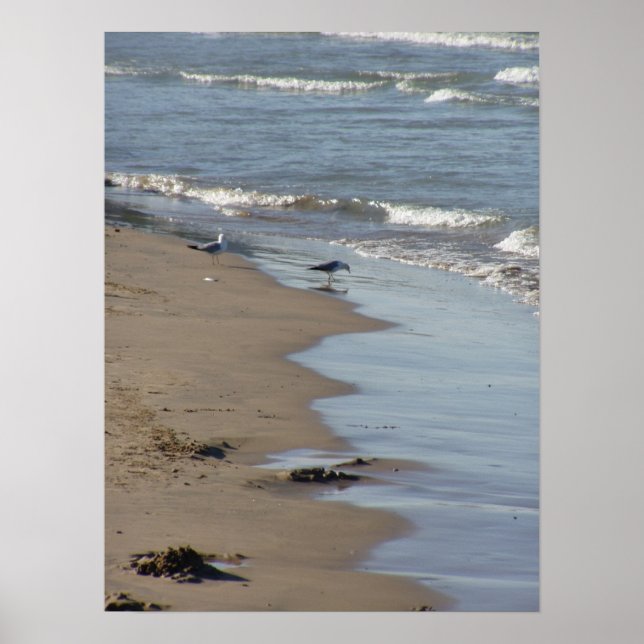 Foster Beach Poster (Front)