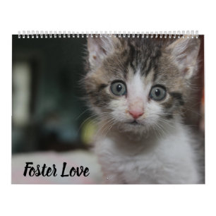 FOSTER LOVE CALENDAR