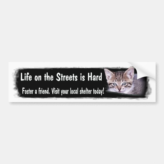 Foster Pets Bumper Sticker (Front)
