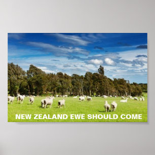 FOTC New Zealand Ewe Should Come Poster