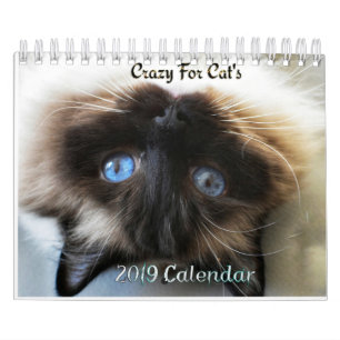 Fou au sujet du calendrier mural des chats 2019