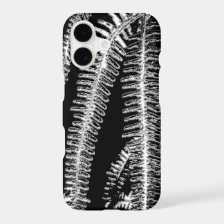 Fougère noir et blanc