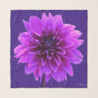 Pink violet Indigo Dahlia Carré Chiffon Scarf