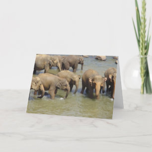 Foule d'éléphants Cartes de voeux