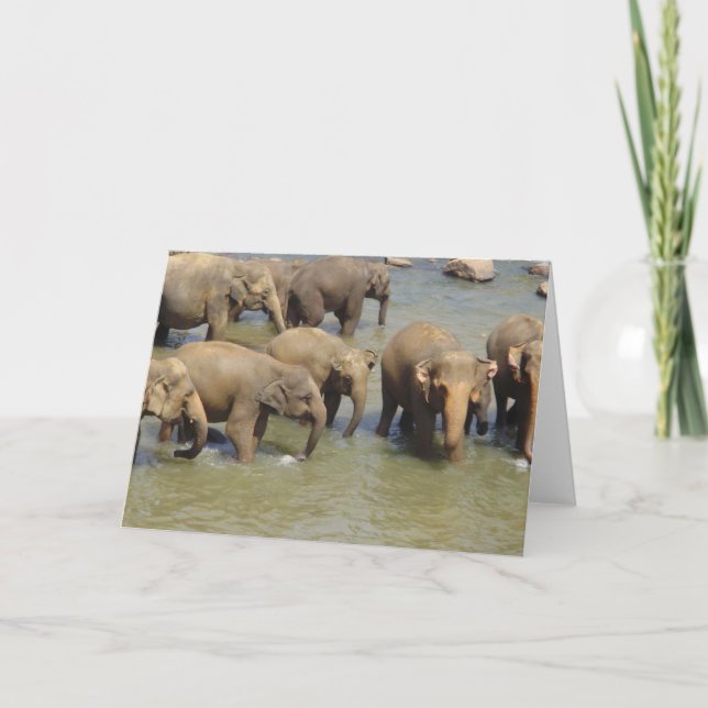 Foule d'éléphants Cartes de voeux (Devant)