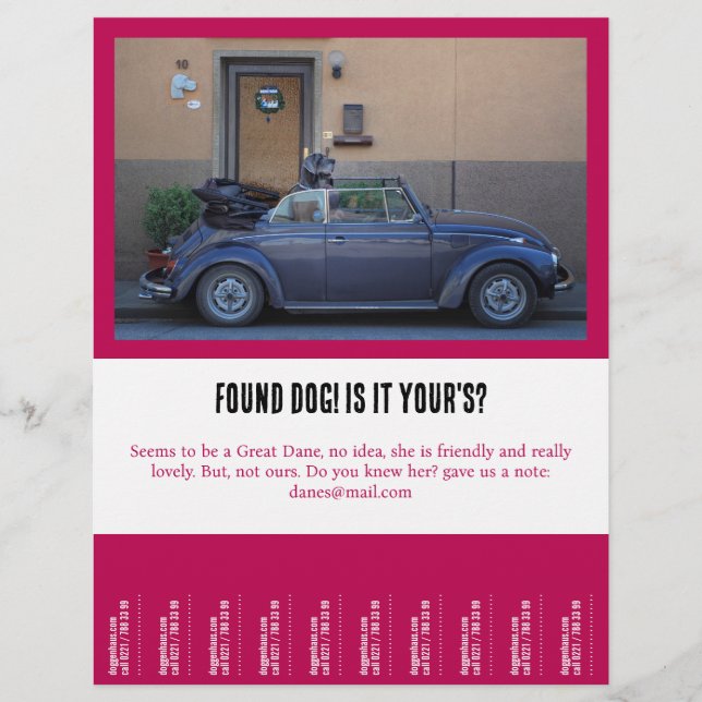 found a furry friend flyer (Front)