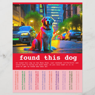 Found Dog  Flyer