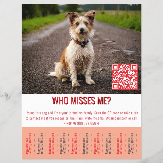 Found Dog Template tap  Flyer (Front)