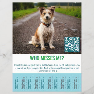 Found Dog Template tap  Flyer