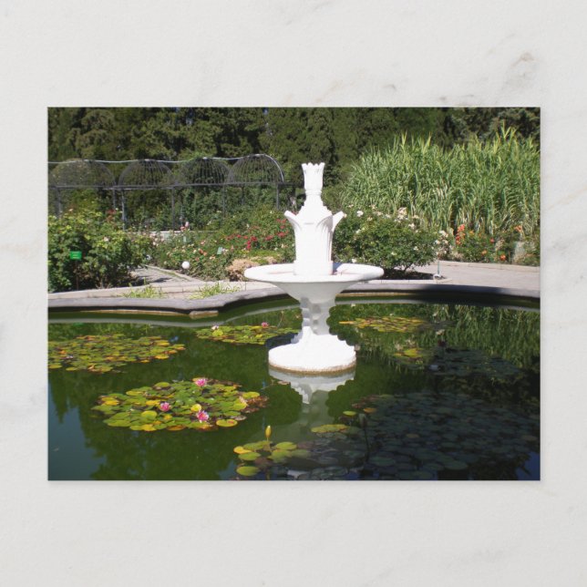 Fountain in the Botanical Garden Postcard (Front)