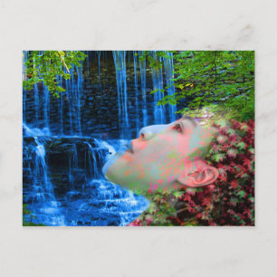Fountain of Youth Postcard