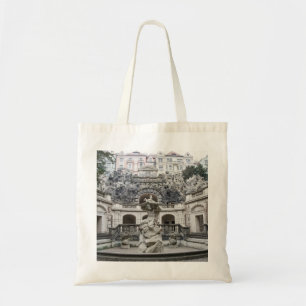 Fountain with Neptune statue in Prague Tote Bag