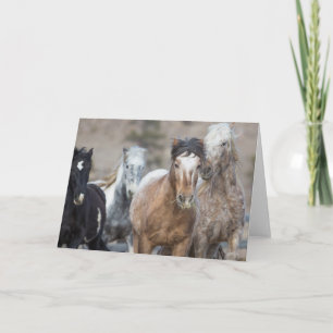 Four Adobes - Galloping to Freedom Greeting Card