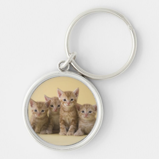 Four American Shorthair Kittens Keychain (Front)