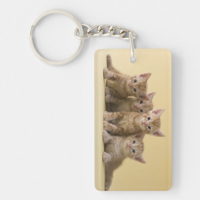 Four American Shorthair Kittens Keychain (Front)