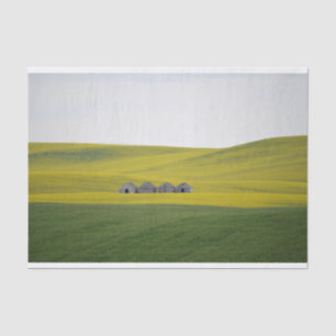 Four Barns Snuggled Within Massive, Rolling Hills Tissue Paper